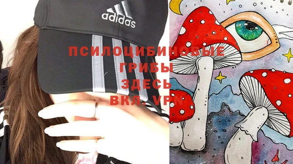 прущий лед Алексеевка