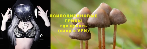 2c-b Алзамай