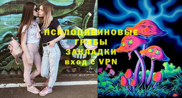 прущий лед Алексеевка