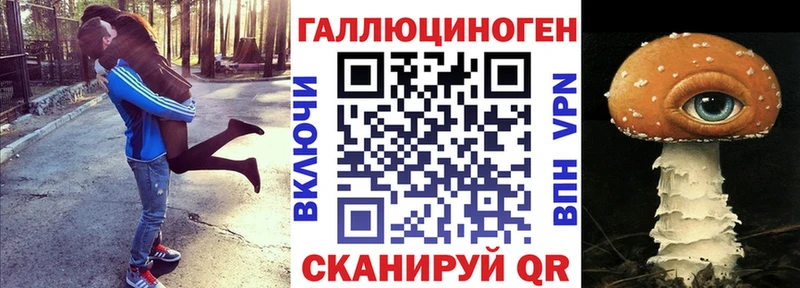 цены   Сокол  это состав  Галлюциногенные грибы Psilocybine cubensis 
